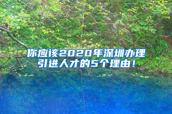 你应该2020年深圳办理引进人才的5个理由！
