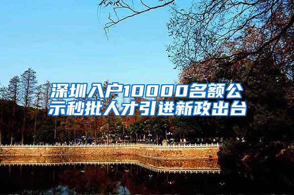 深圳入户10000名额公示秒批人才引进新政出台