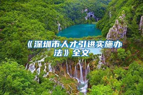 《深圳市人才引进实施办法》全文
