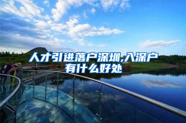 人才引进落户深圳,入深户有什么好处