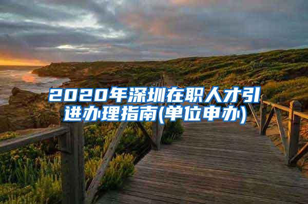 2020年深圳在职人才引进办理指南(单位申办)