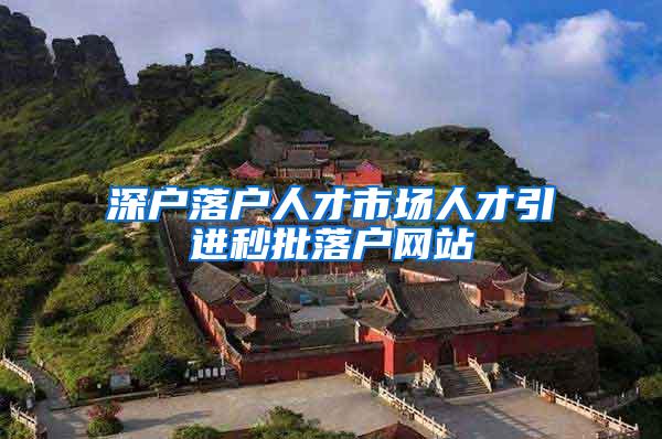 深户落户人才市场人才引进秒批落户网站