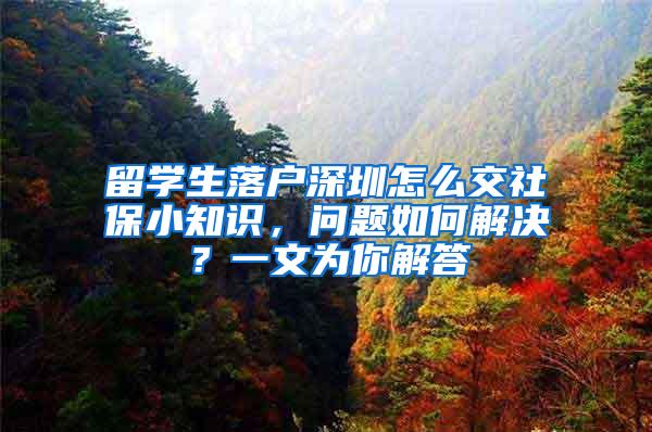 留学生落户深圳怎么交社保小知识，问题如何解决？一文为你解答