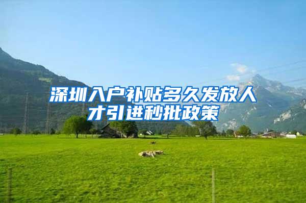 深圳入户补贴多久发放人才引进秒批政策