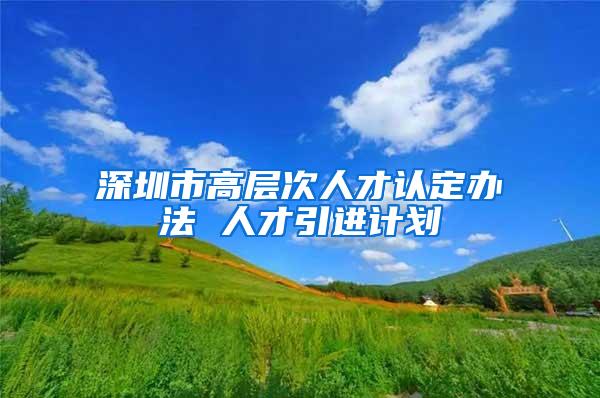 深圳市高层次人才认定办法 人才引进计划