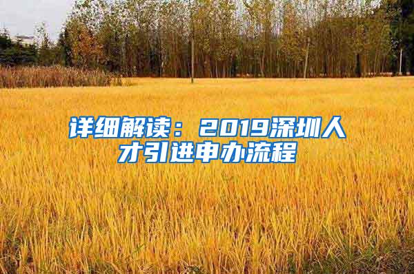 详细解读：2019深圳人才引进申办流程