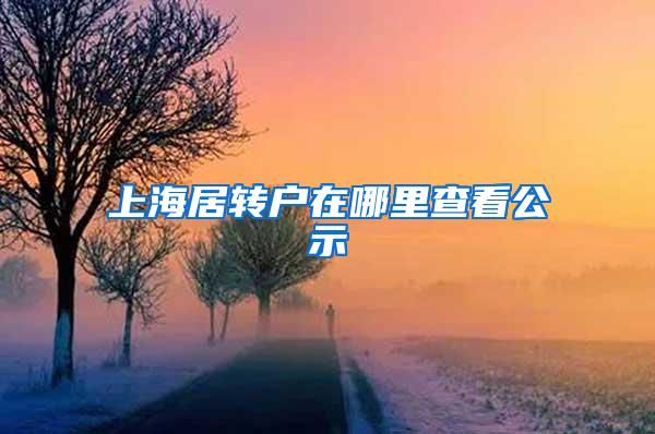 上海居转户在哪里查看公示