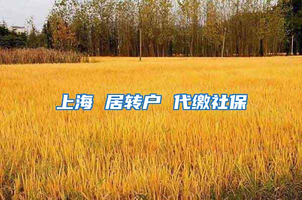 上海 居转户 代缴社保
