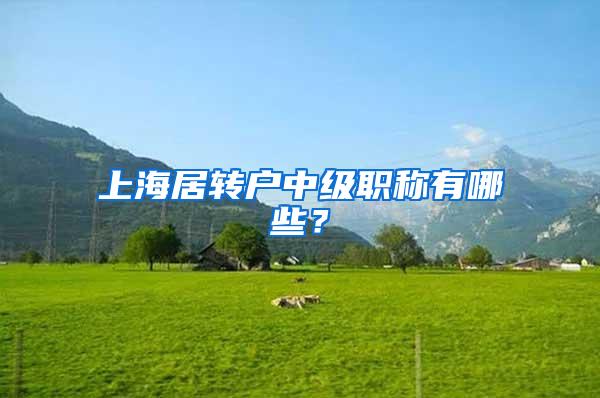 上海居转户中级职称有哪些？