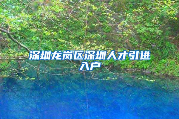 深圳龙岗区深圳人才引进入户