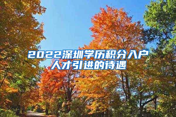 2022深圳学历积分入户人才引进的待遇