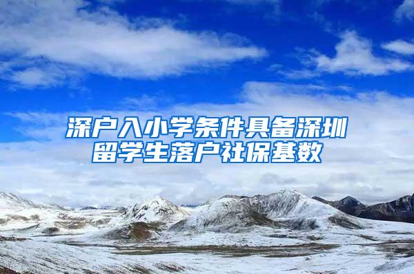 深户入小学条件具备深圳留学生落户社保基数