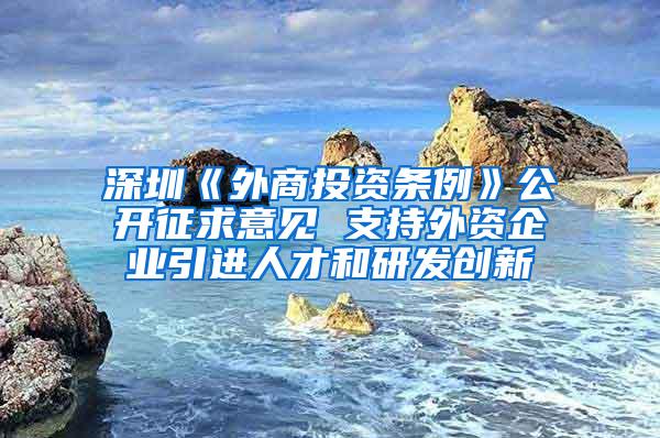 深圳《外商投资条例》公开征求意见 支持外资企业引进人才和研发创新