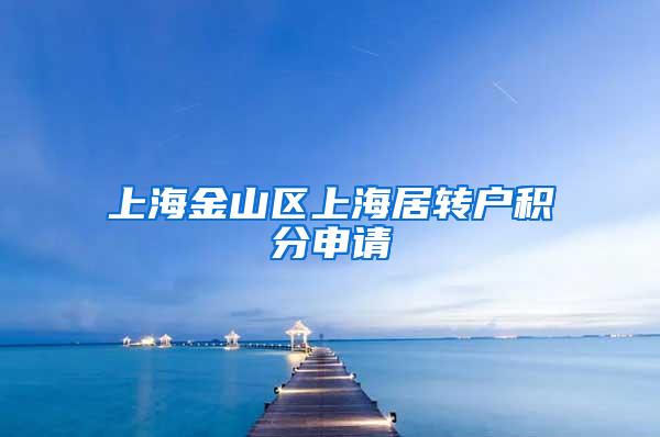 上海金山区上海居转户积分申请