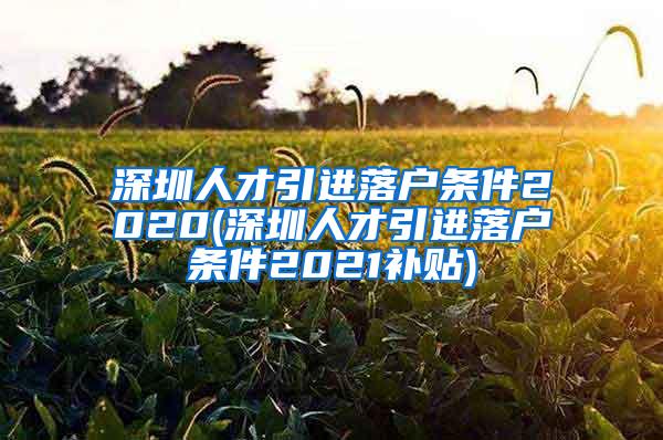 深圳人才引进落户条件2020(深圳人才引进落户条件2021补贴)