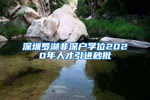 深圳罗湖非深户学位2020年人才引进秒批