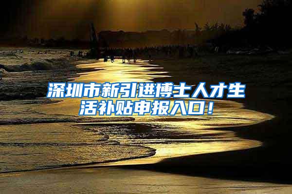 深圳市新引进博士人才生活补贴申报入口！