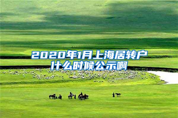2020年1月上海居转户什么时候公示啊