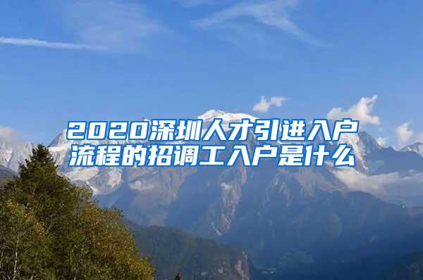 2020深圳人才引进入户流程的招调工入户是什么