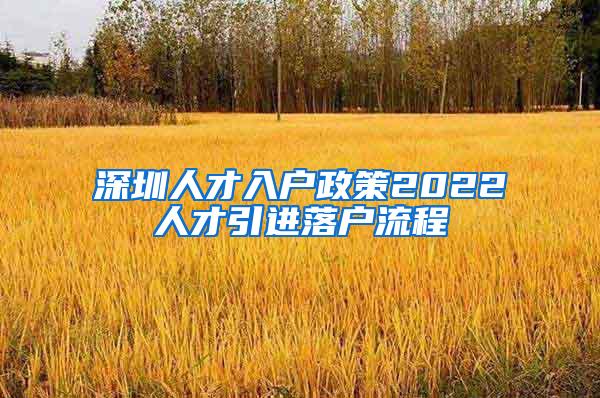 深圳人才入户政策2022人才引进落户流程