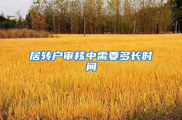 居转户审核中需要多长时间