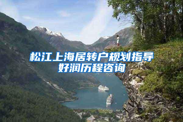 松江上海居转户规划指导好润历程咨询