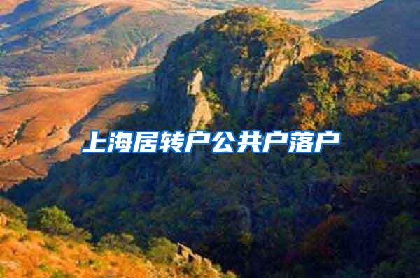 上海居转户公共户落户