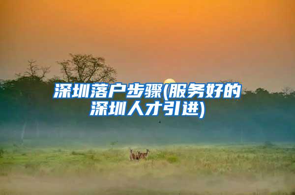 深圳落户步骤(服务好的深圳人才引进)