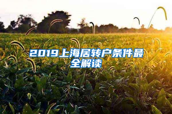 2019上海居转户条件最全解读