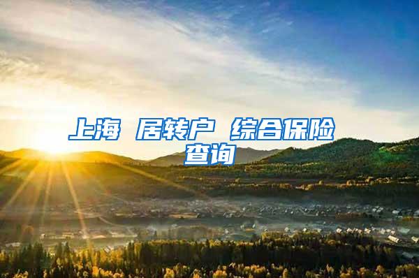 上海 居转户 综合保险 查询