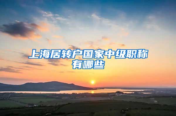 上海居转户国家中级职称有哪些