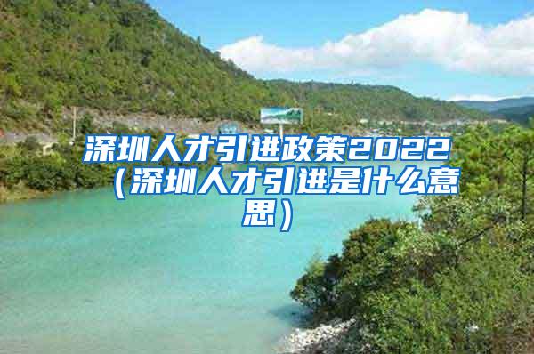 深圳人才引进政策2022（深圳人才引进是什么意思）