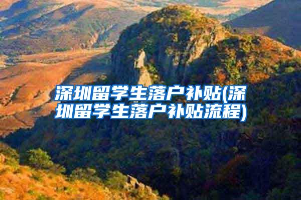 深圳留学生落户补贴(深圳留学生落户补贴流程)