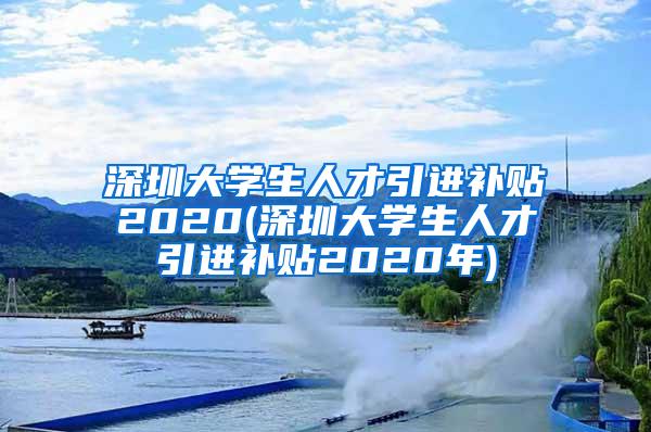 深圳大学生人才引进补贴2020(深圳大学生人才引进补贴2020年)