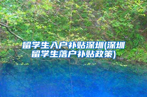 留学生入户补贴深圳(深圳留学生落户补贴政策)
