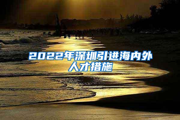 2022年深圳引进海内外人才措施