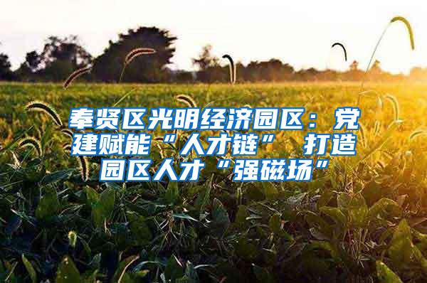奉贤区光明经济园区：党建赋能“人才链” 打造园区人才“强磁场”