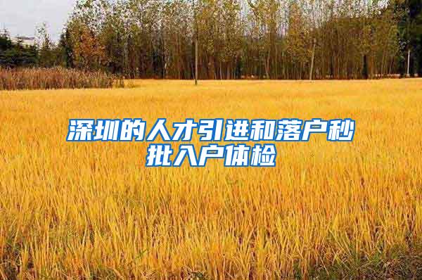 深圳的人才引进和落户秒批入户体检
