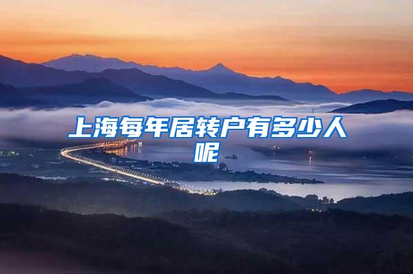 上海每年居转户有多少人呢
