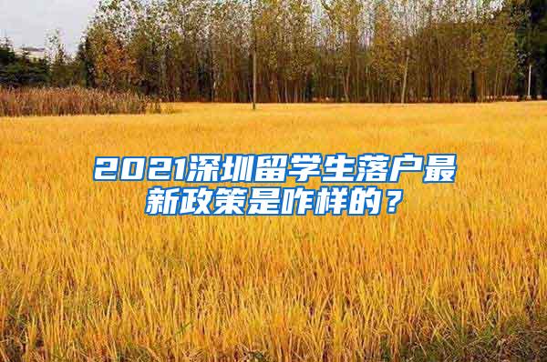 2021深圳留学生落户最新政策是咋样的？