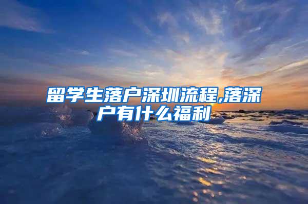 留学生落户深圳流程,落深户有什么福利