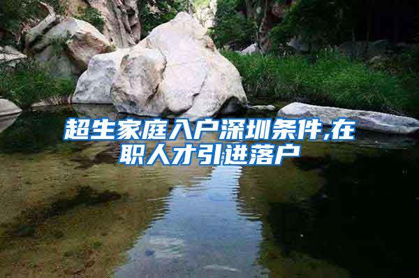 超生家庭入户深圳条件,在职人才引进落户