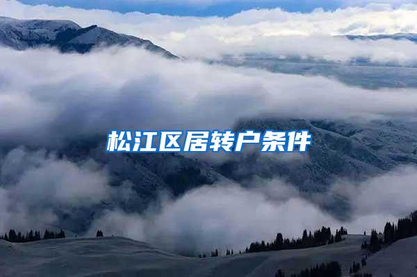 松江区居转户条件