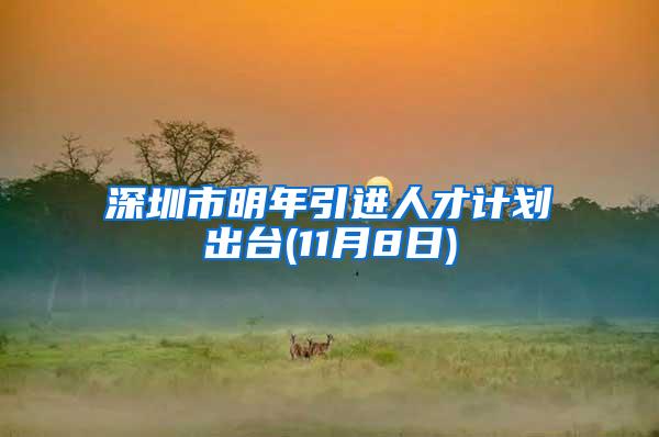 深圳市明年引进人才计划出台(11月8日)