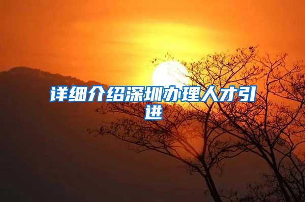 详细介绍深圳办理人才引进