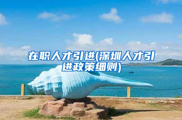 在职人才引进(深圳人才引进政策细则)