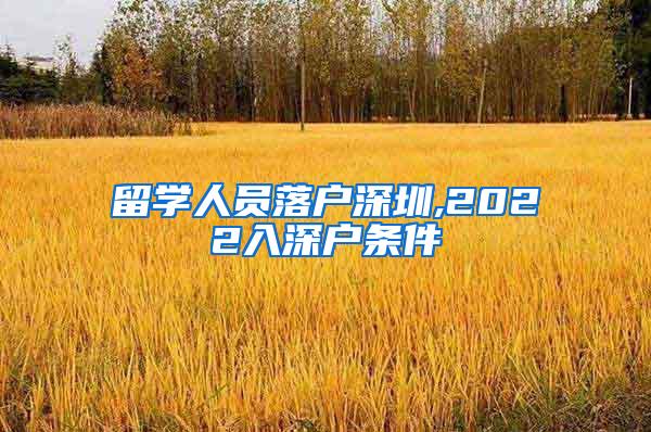 留学人员落户深圳,2022入深户条件