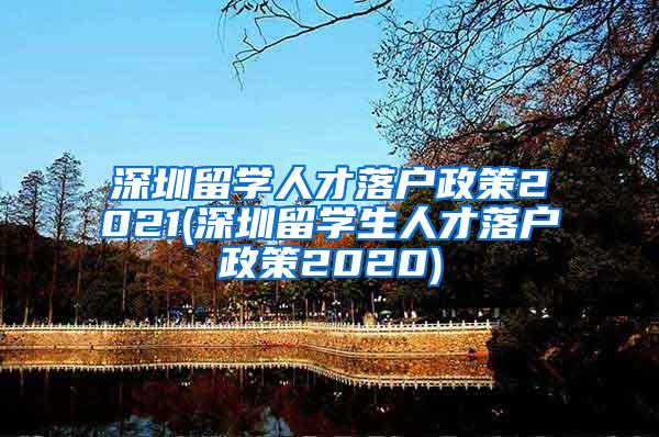深圳留学人才落户政策2021(深圳留学生人才落户政策2020)