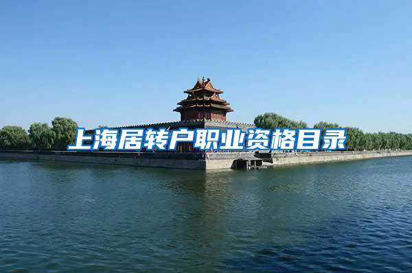 上海居转户职业资格目录