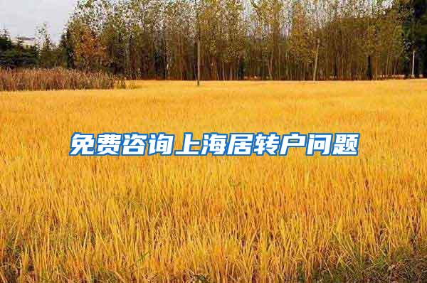 免费咨询上海居转户问题